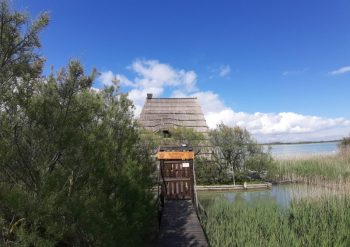 Escursione casoni di Caorle