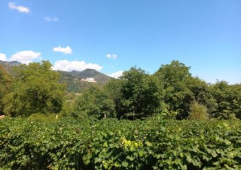 Escursioni Follina Colline Prosecco