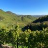 Prosecco trail trek Cammino del Prosecco trekking