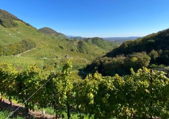 Prosecco trail trek Cammino del Prosecco trekking