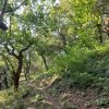 Prosecco trail trek Cammino del Prosecco trekking