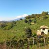 Prosecco trail trek Cammino del Prosecco trekking (20)
