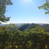Prosecco trail trek Cammino del Prosecco trekking (21)