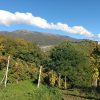 Prosecco trail trek Cammino del Prosecco trekking (22)