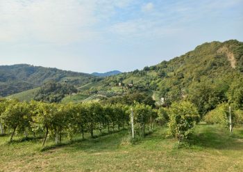 Prosecco trail trek Cammino del Prosecco trekking