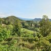 Prosecco trail trek Cammino del Prosecco trekking (5)