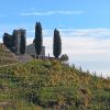 Trekking Cammino del Prosecco UNESCO (12)