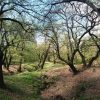 Trekking Cammino del Prosecco UNESCO (14)