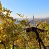 Trekking Cammino del Prosecco UNESCO