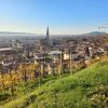Trekking Cammino del Prosecco UNESCO (7)