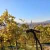 Trekking Cammino del Prosecco UNESCO (8)