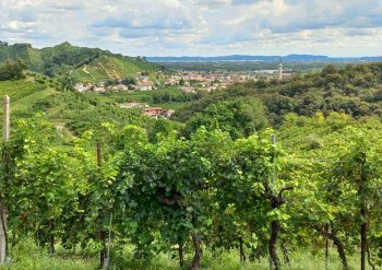 Prosecco hills tour from Venice and Treviso