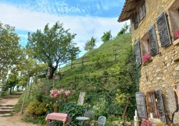 Tour-colline-del-Prosecco-degustazione-vini-da-Venezia-Treviso-Jesolo-Cavallino
