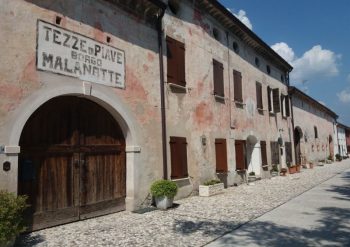 Tour degustazione vini del Piave Raboso Venezia Treviso Jesolo Cavallino