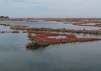 Escursioni Lio Piccolo Cavallino Treporti Laguna di Venezia Isole di Venezia