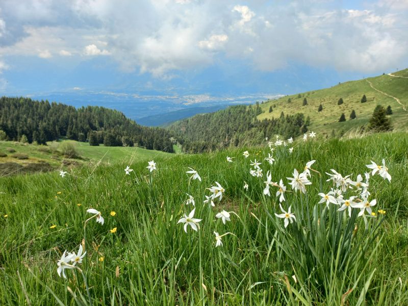 From Nevegal to Col Visentin among Nature and Spectacular Views
