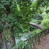 Visite guidate Padova insolita segreta guida turistica (7)
