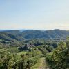 Arfanta Resera tour Colline del Prosecco UNESCO Arfanta Resera tour Colline del Prosecco UNESCO