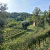 Arfanta Resera tour Colline del Prosecco UNESCO (16) Arfanta Resera tour Colline del Prosecco UNESCO (16)