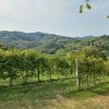 Arfanta Resera tour Colline del Prosecco UNESCO (7) Arfanta Resera tour Colline del Prosecco UNESCO (7)
